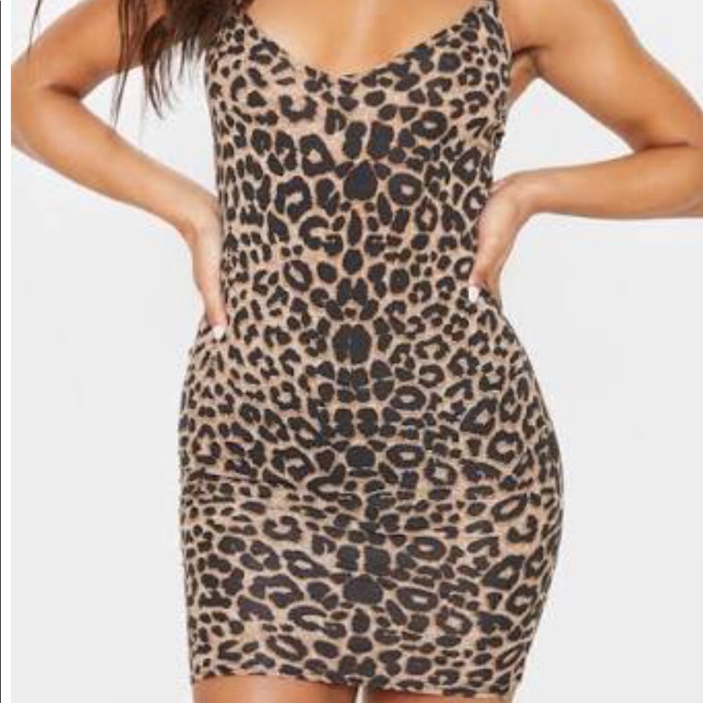 Pretty little thing dress